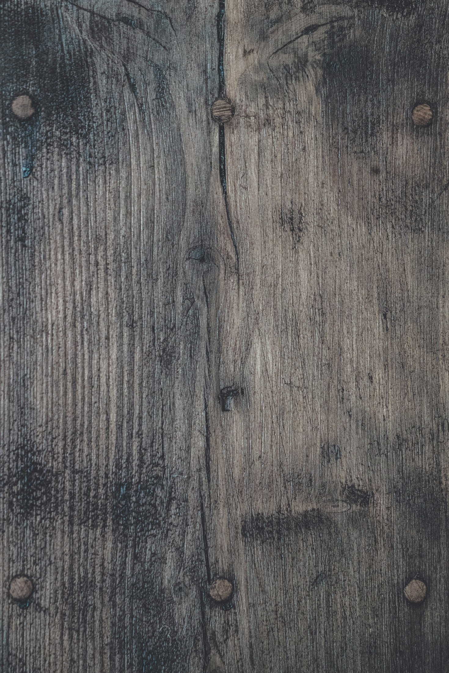 10 Amazing Facts About Granadillo Wood